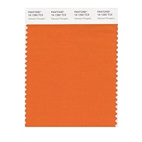 Amazon.com: PANTONE Smart 16-1260X Color Swatch Card, Harvest